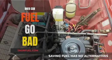 Car Fuel: Does It Expire and Go Bad?