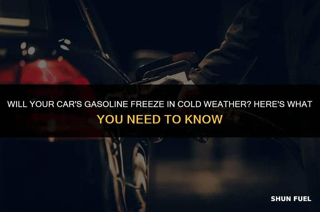 does car gasoline freeze