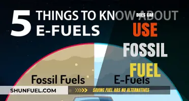 The Impact of Cars: Fossil Fuel Usage