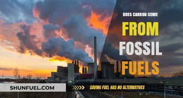 Carbon's Origin: Fossil Fuels and Their Role