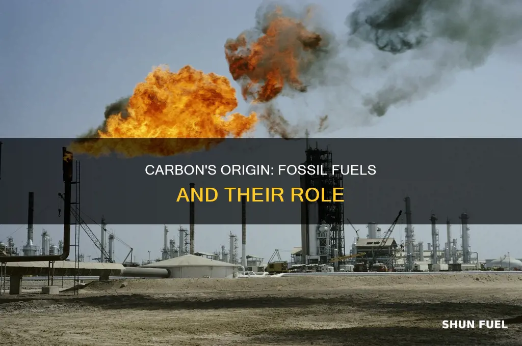 does carbon come from fossil fuels