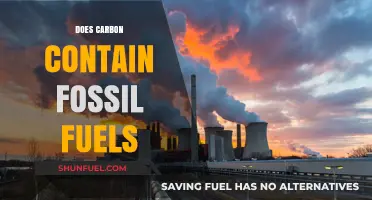 Carbon and Fossil Fuels: What's the Connection?