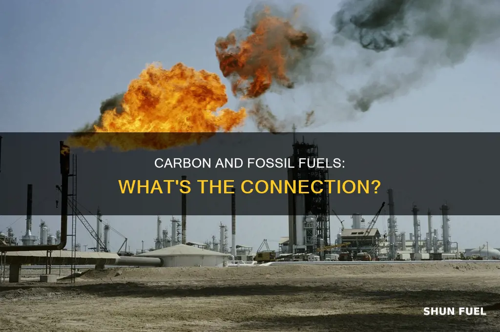 does carbon contain fossil fuels