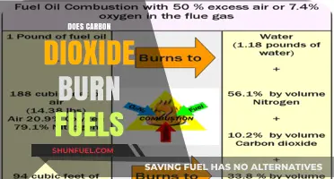 Can Carbon Dioxide Ignite Fuels? Exploring CO2's Combustion Potential