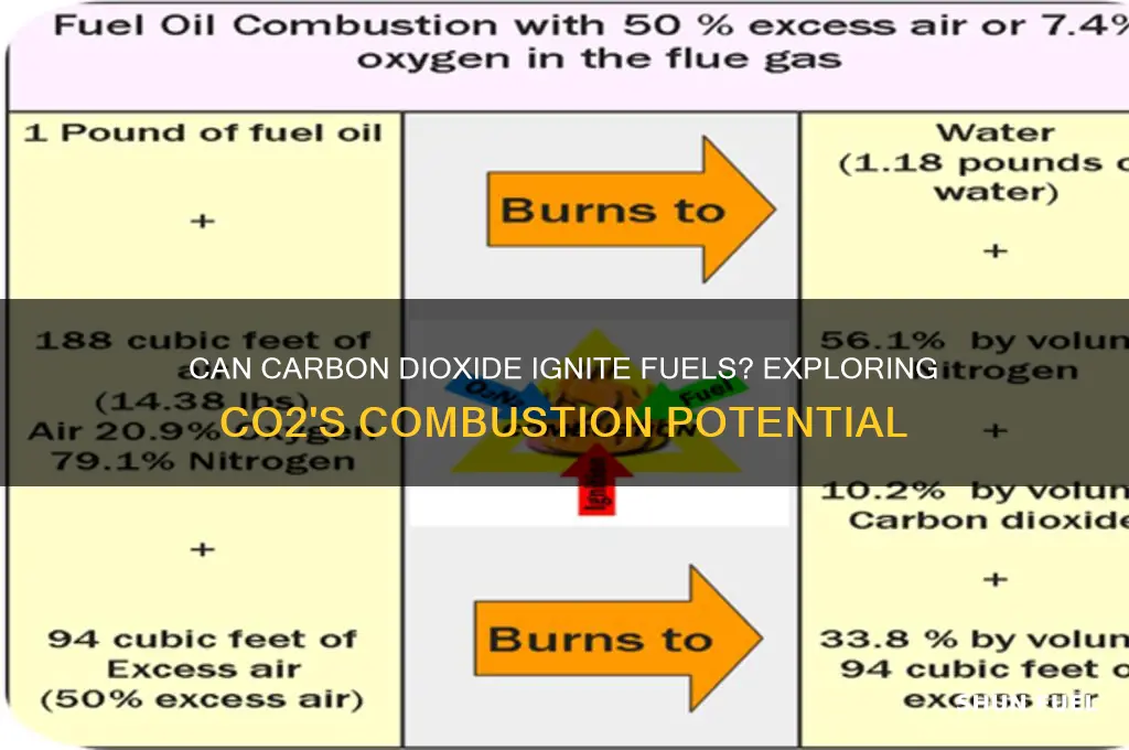 does carbon dioxide burn fuels
