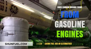 Unveiling the Truth: Gasoline Engines and CO2 Emissions