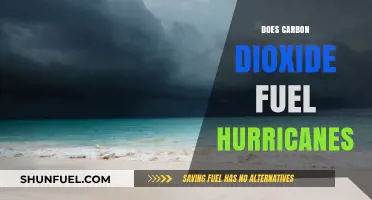 Does Carbon Dioxide Fuel Hurricanes? Unraveling the Climate Connection
