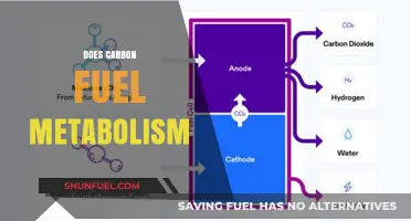 Understanding Carbon Fuel Metabolism: Processes, Impacts, and Future Implications