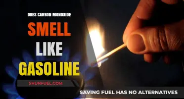 Unraveling the Myth: Does Carbon Monoxide Really Smell Like Gasoline?