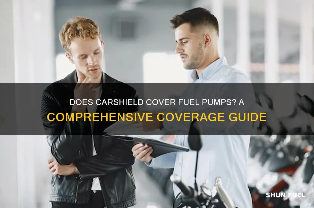does carshield cover fuel pumps