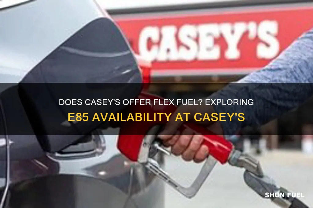 does caseys sell flex fuel