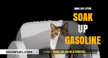 Absorbing Spills: Can Cat Litter Tackle Gasoline Mishaps?