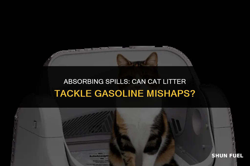 does cat litter soak up gasoline