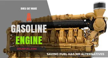 Exploring the Myth: Can Cats Really Power a Gasoline Engine?