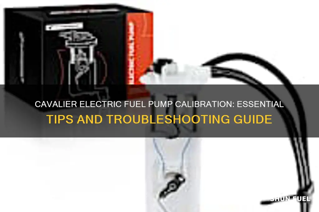 does cavalier electric fuel pump calibration