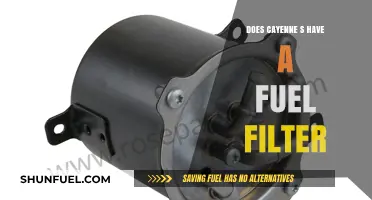 Cayenne S Fuel Filter: Where Is It?