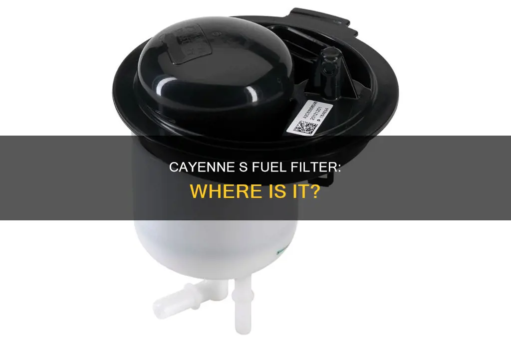 does cayenne s have a fuel filter