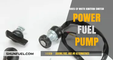 Does CF Moto Ignition Switch Power the Fuel Pump?