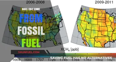 Fossil Fuels and Methane: The CH4 Connection