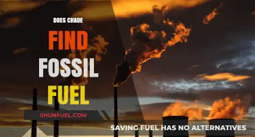 Chad's Fossil Fuel Find: A New Energy Source?