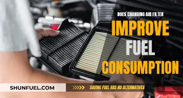 Air Filter Changes: Impact on Fuel Efficiency and Performance