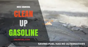 Can Charcoal Really Clean Up Gasoline Spills? Let's Find Out
