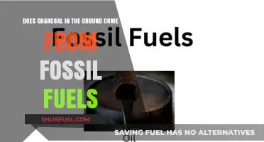 Charcoal Origins: Fossil Fuel Connection Explored