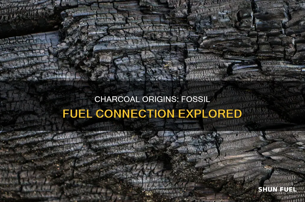 does charcoal in the ground come from fossil fuels