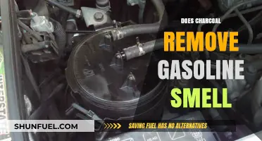 Does Charcoal Really Remove Gasoline Smell? The Truth Revealed