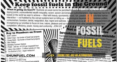 Schwab's Fossil Fuel Investments: Ethical or Not?
