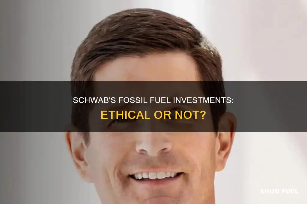 does charles schwab invest in fossil fuels