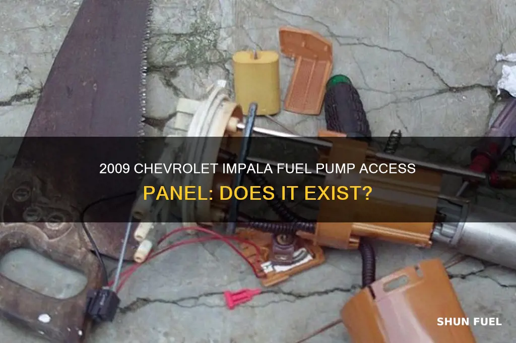 does chevrolet impala 2009 havs access panel for fuel pump