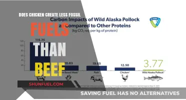 Meat and Fossil Fuels: Chicken vs. Beef