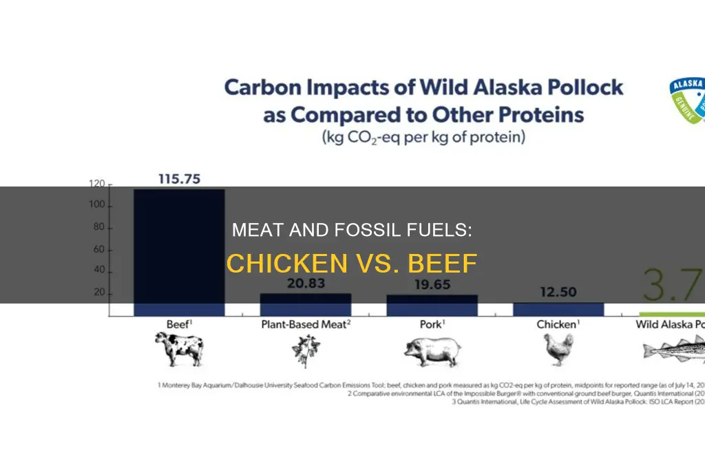 does chicken create less fossil fuels than beef