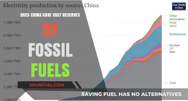 China's Fossil Fuel Reserves: A Strategic Advantage?