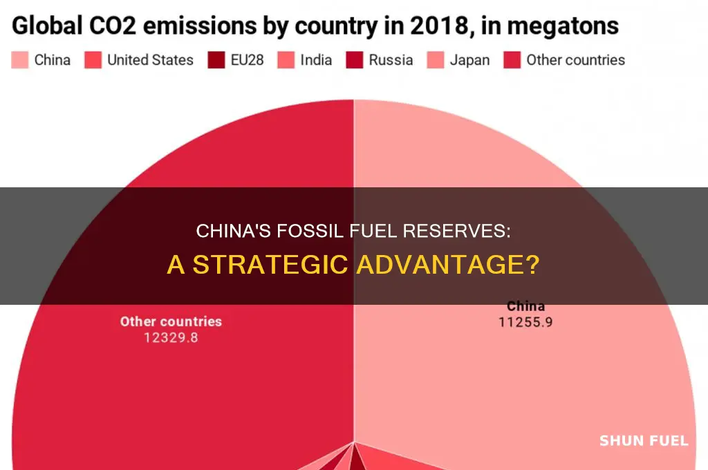does china have vast reserves of fossil fuels