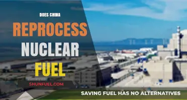 China's Nuclear Fuel Reprocessing: Current Practices and Global Implications