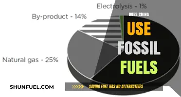 China's Energy Mix: Fossil Fuels' Future