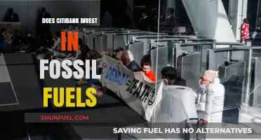 Citibank's Fossil Fuel Investments: Ethical or Not?