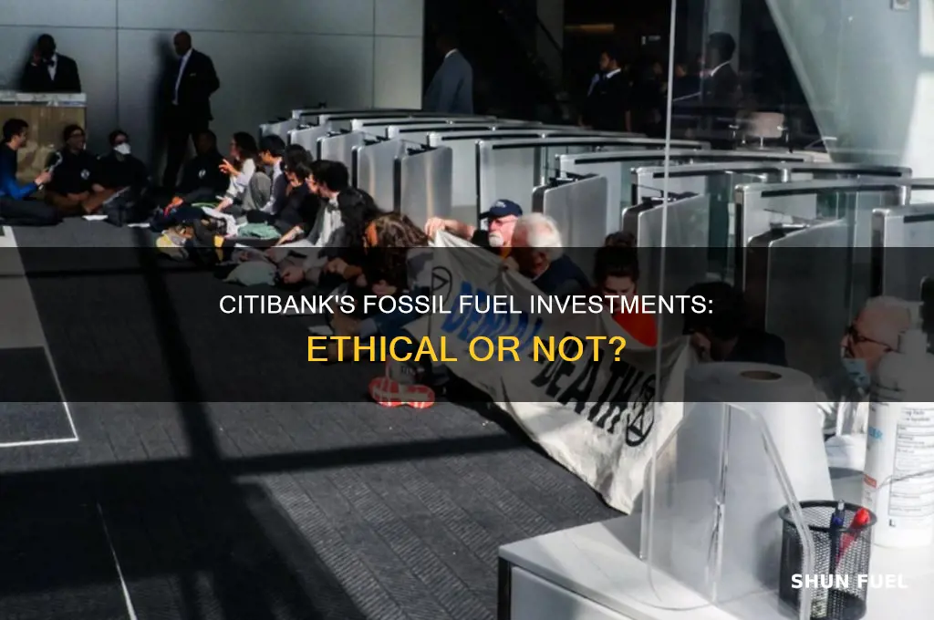 does citibank invest in fossil fuels