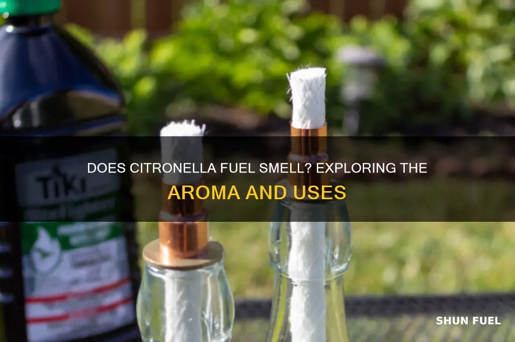 does citronela fuel smell