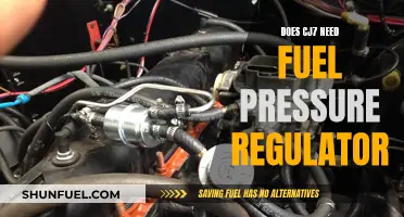 Fuel Pressure Regulator: A Must-Have for CJ7?