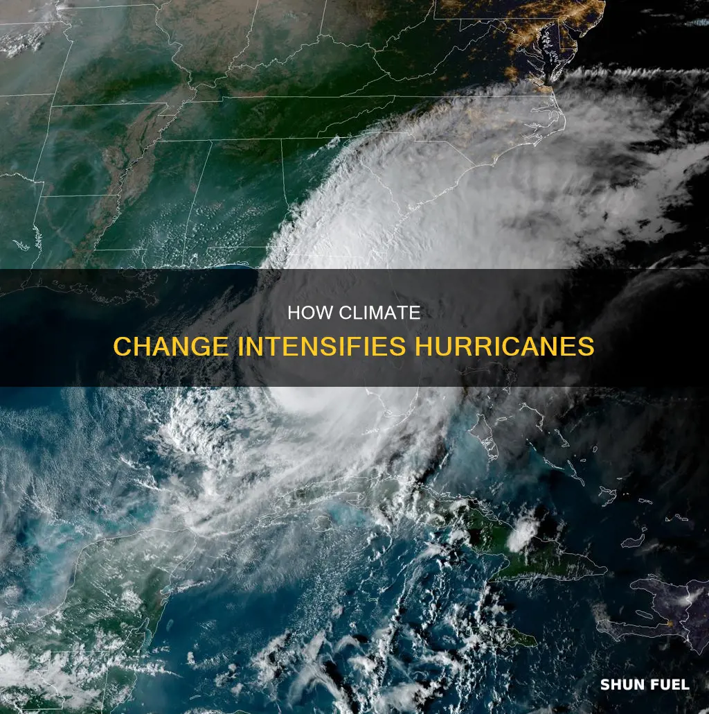 does climate change fuel hurricanes