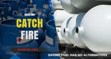Exploring the Flammability of CNG: Facts and Safety Measures