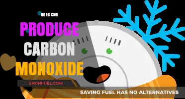 The Truth About CNG: Does It Really Produce Carbon Monoxide?