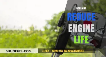 Does CNG Reduce Engine Life? A Comprehensive Analysis