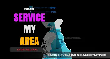 Exploring CNG Availability: A Comprehensive Guide to Service in Your Area