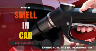Exploring the Truth: Does CNG Really Smell in Your Car?