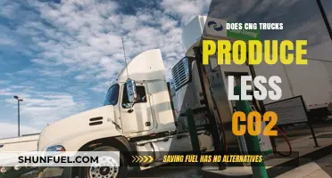 Eco-Friendly Transport: Do CNG Trucks Emit Less CO2?
