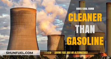 Comparing Emissions: Is Coal a Cleaner Fuel Than Gasoline?